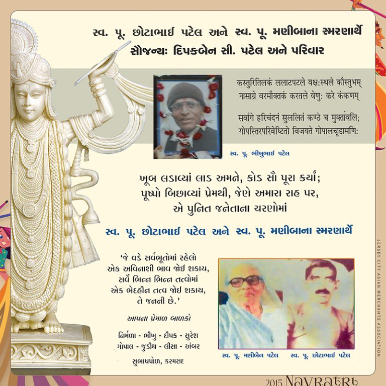Navratri 2015 at IndiaSquare, Jersey City